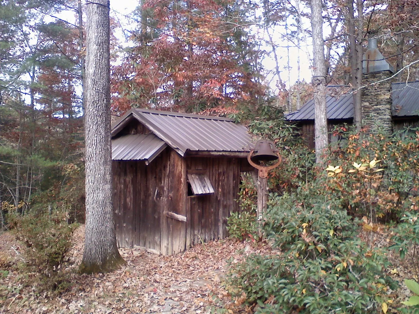 Small metal roof on a rough sawn shed in the woods in Albion